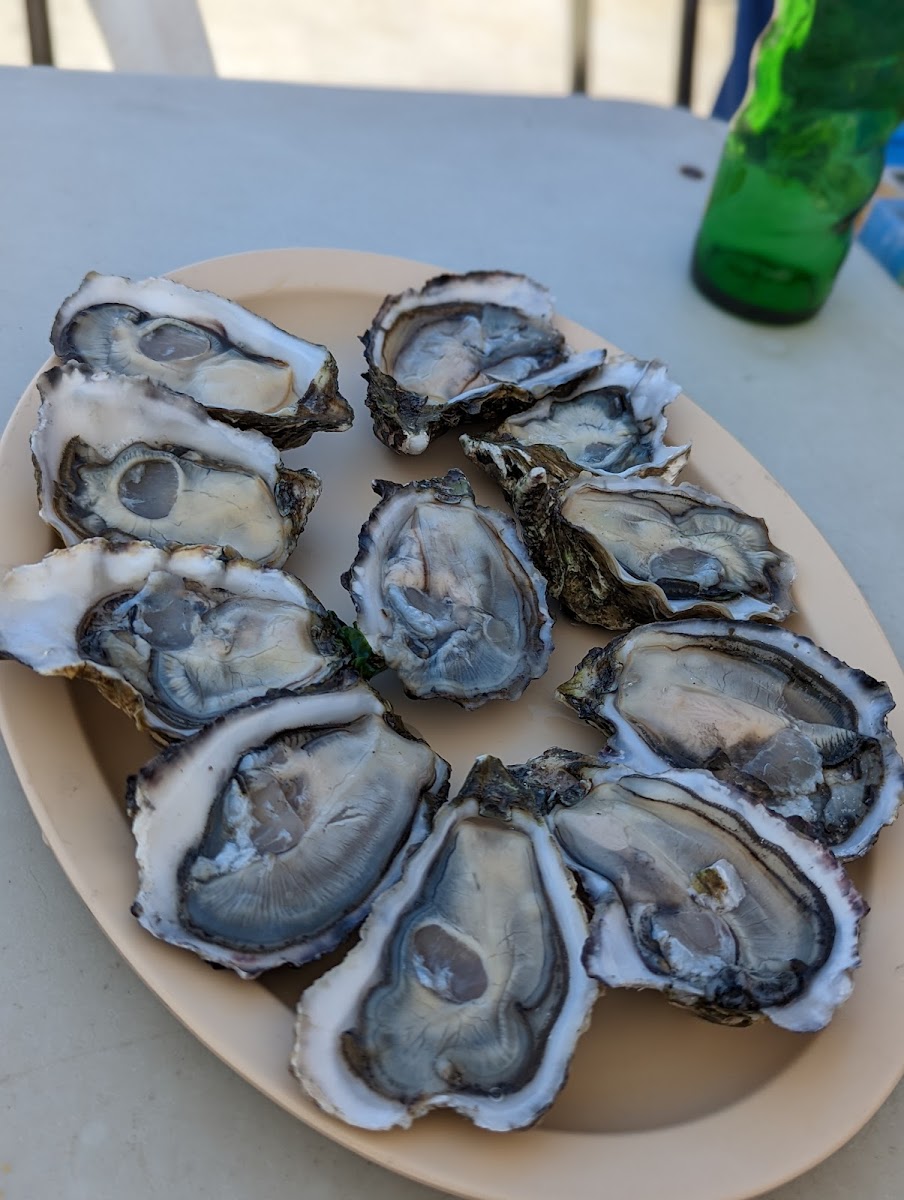 Mariscos El Rey Estilo Nayarit-7